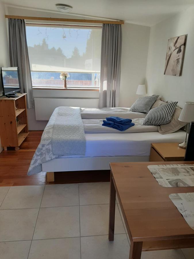 Bsg Apartments Selfoss Bagian luar foto